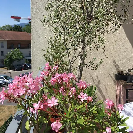 Proche Geneve Apartman